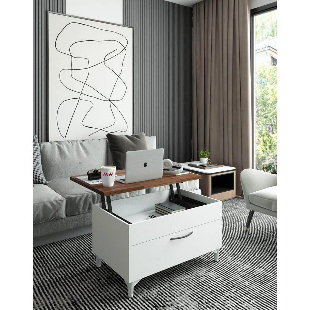 The Alva lift-Top Coffee Table, 80x50x45cm