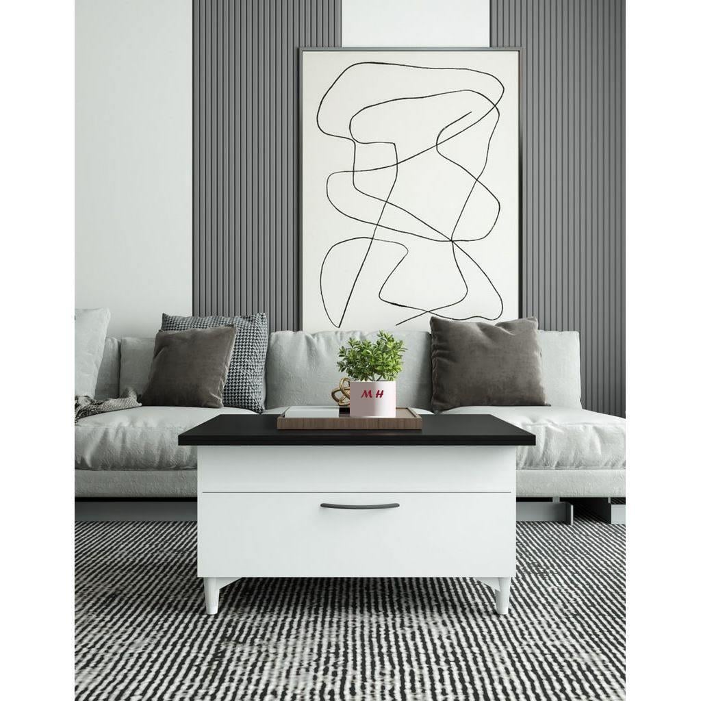The Alva lift-Top Coffee Table, 80x50x45cm
